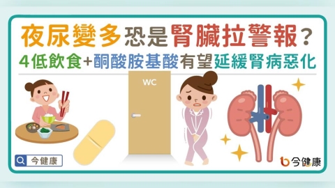 夜尿變多恐是腎臟拉警報？四低飲食＋酮酸胺基酸有機會延緩腎臟病惡化！