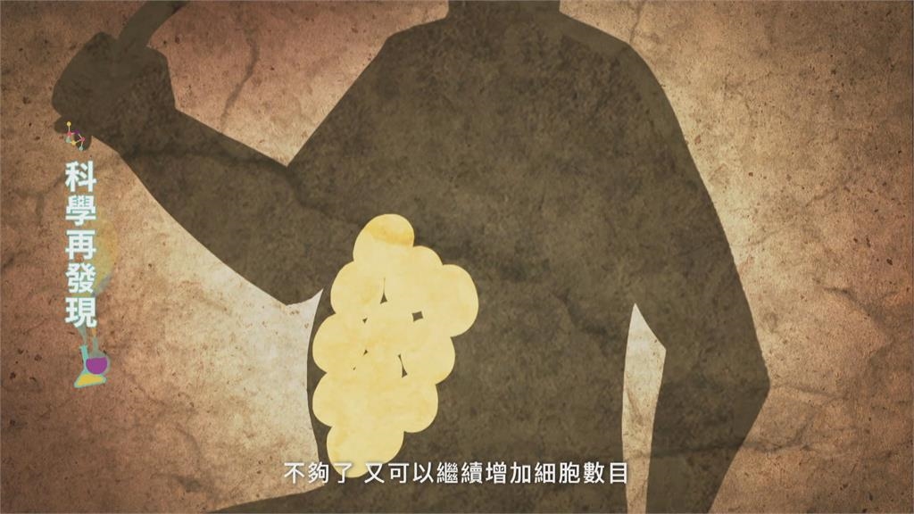 健康減重! 營養師助你透析營養