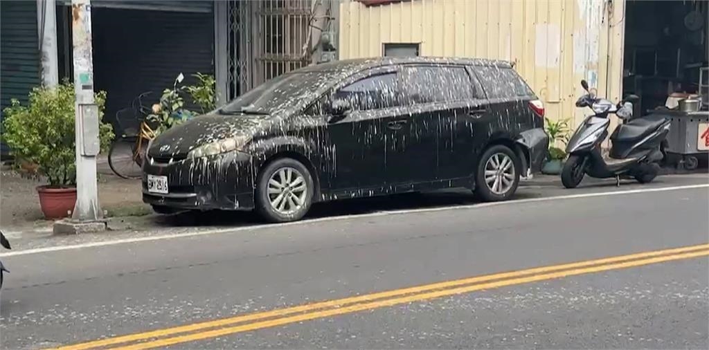 天降黃金雨！上萬隻家燕棲息潮州圓環　鳥屎炸彈來襲