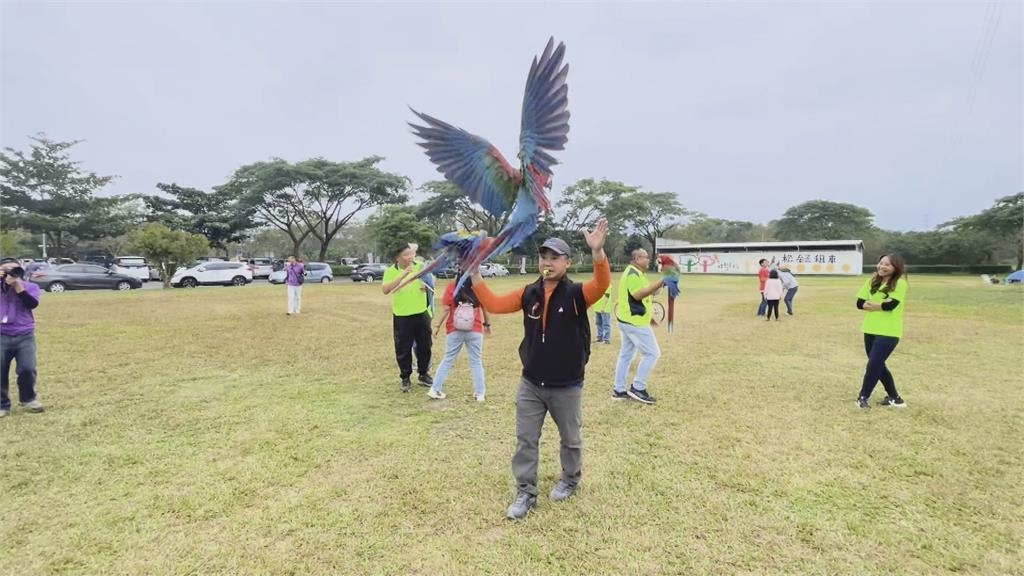 台灣鳥協年終聚會! 上百鸚鵡天空中嬉戲追逐