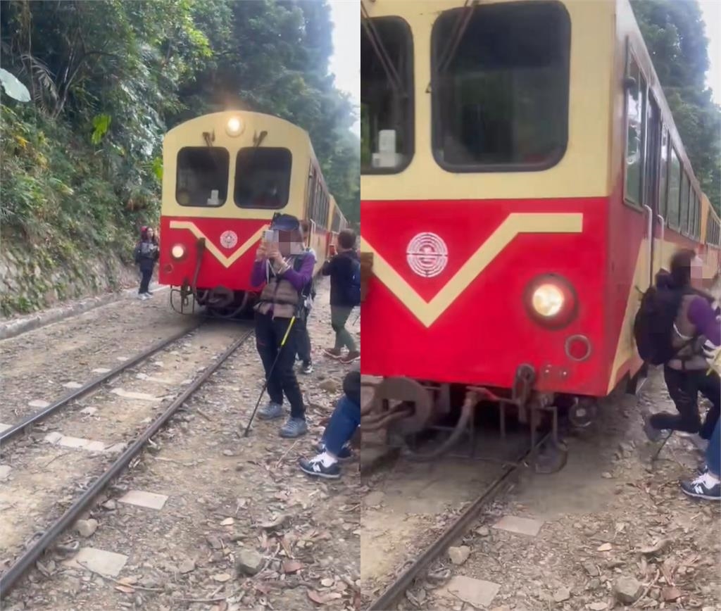 婦人闖阿里山鐵軌搶拍「不甩小火車鳴笛」!下1秒被撞飛…驚悚畫面曝光