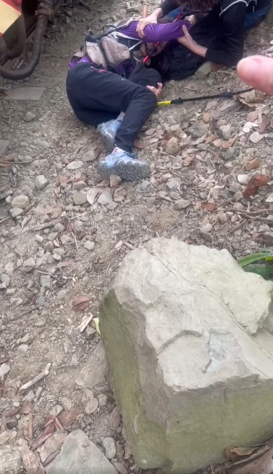 婦人闖阿里山鐵軌搶拍「不甩小火車鳴笛」!下1秒被撞飛…驚悚畫面曝光