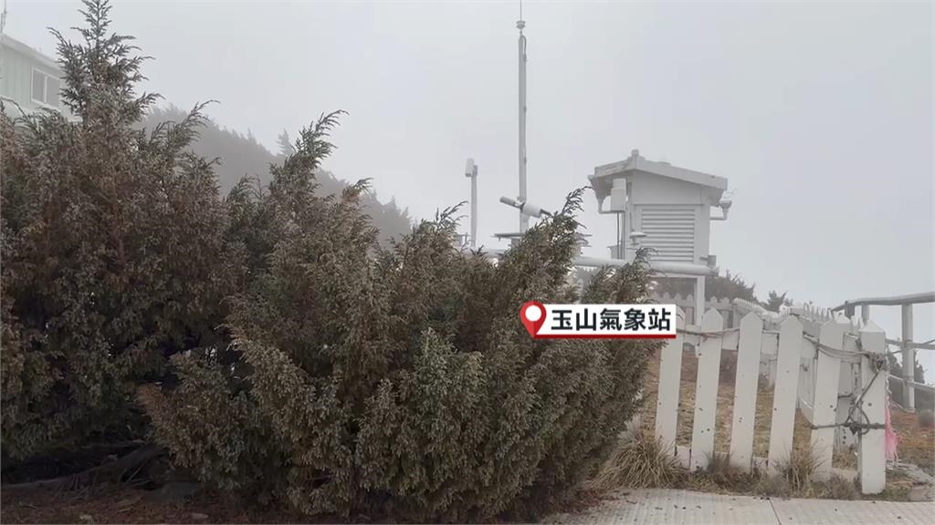 全台冷颼颼！　合歡山入冬後首次「降雪」民眾好驚喜