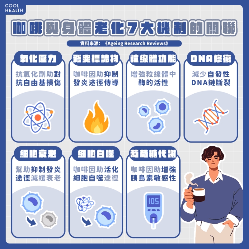 專家：長期適度飲用咖啡 影響與老化相關的七大支柱