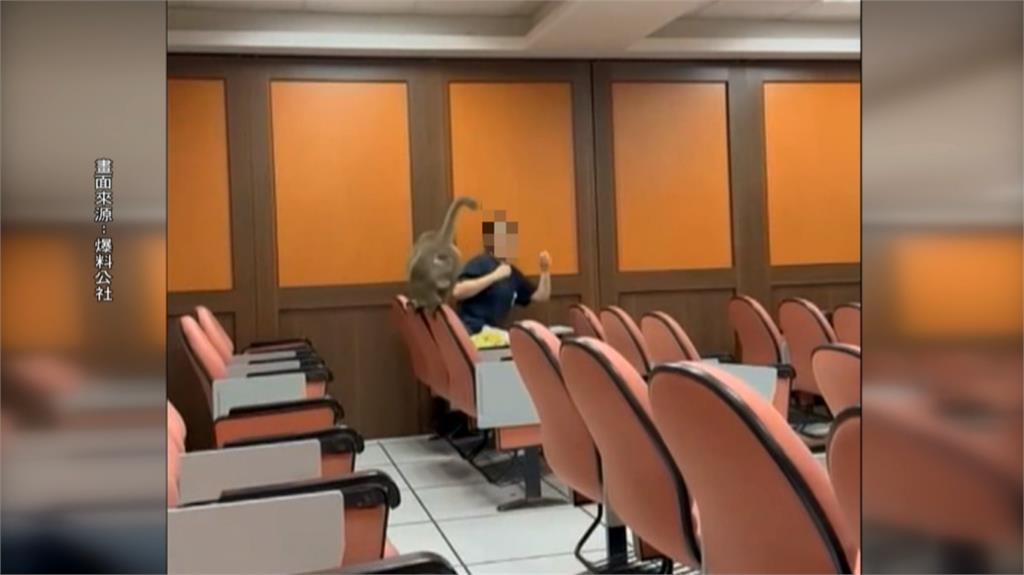 「猴同學」學微積分、日文？　中山大學學生又被牠搶了