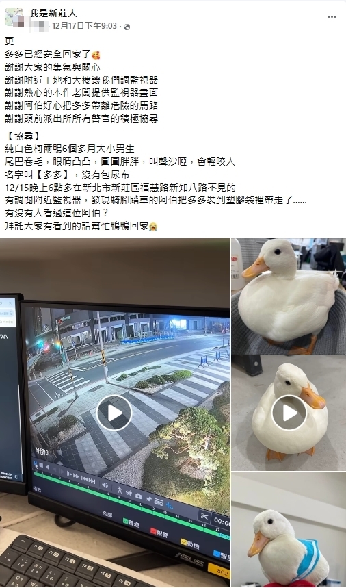 肥嫩小白鴨「被阿北抓走」糟了！尋回「面目全非」網笑：好險沒變薑母鴨