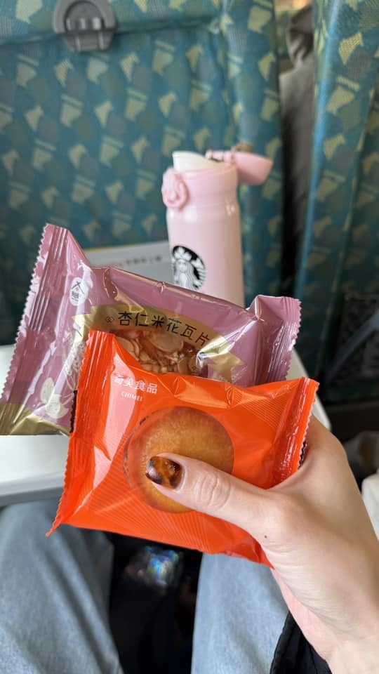 高鐵伯急下車「臉著地摔倒」噴血!乘客「接力救援」女星超感動:台灣人溫暖