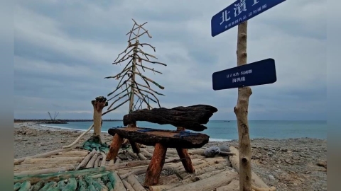 颱風帶來漂流木變身藝術作品　美化環境又療癒心靈