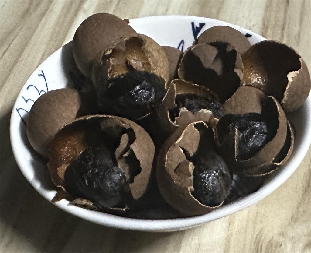 今年最後的翻身機會！專家教你天赦日「蛋」掉壞運　帶殼小物轉出好運