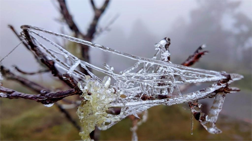  快新聞／氣溫下探0度未飄雪　宜蘭太平山「日出美景」曝光