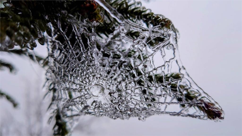  快新聞／氣溫下探0度未飄雪　宜蘭太平山「日出美景」曝光