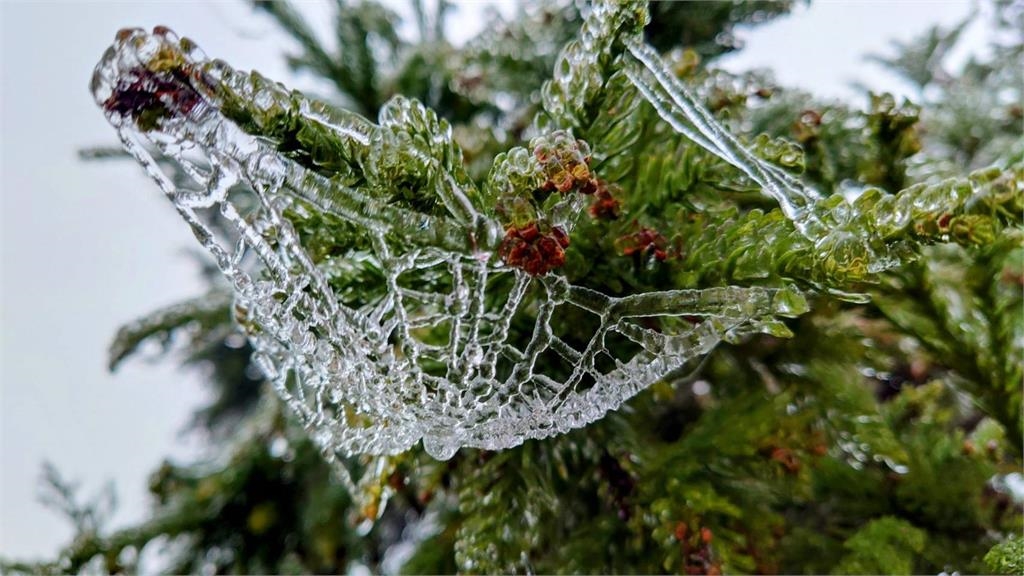  快新聞／氣溫下探0度未飄雪　宜蘭太平山「日出美景」曝光