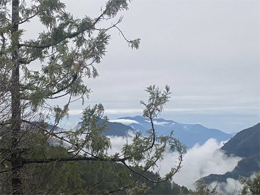  快新聞／氣溫下探0度未飄雪　宜蘭太平山「日出美景」曝光