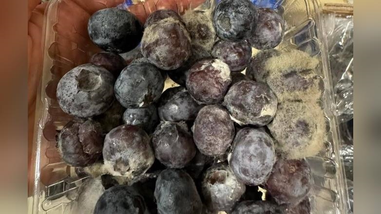 藍莓變藍「霉」！　　網友受氣發文店家喊冤根本沒賣