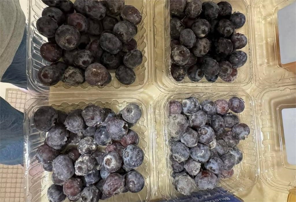 藍莓變藍「霉」! 網友受氣發文店家喊冤根本沒賣