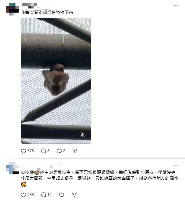 樹獺「從天而降」砸到人!下1秒「飆出最高時速」逃離現場…園方回應了