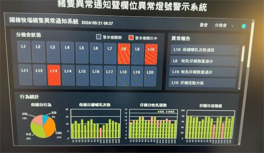 小豬頻傳夭折「被媽媽壓死」　AI系統1功能豬農全笑了