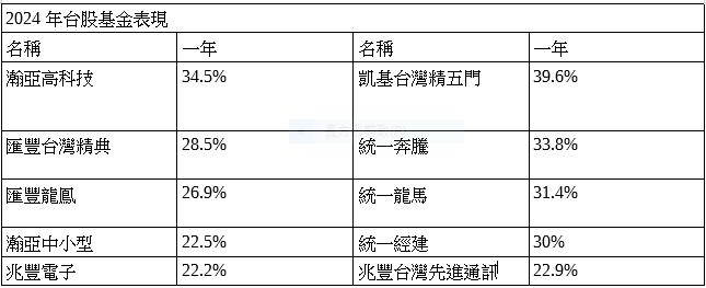 2024台股基金平均上漲21% 其中五檔大賺逾三成