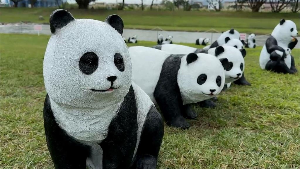 宜蘭期間限定環保牧場　98隻「貓熊裝置藝術」成打卡熱點