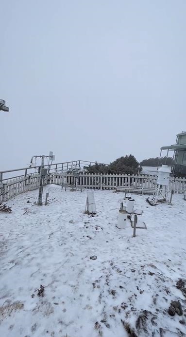 快新聞／玉山下雪了！　絕美銀白世界畫面曝