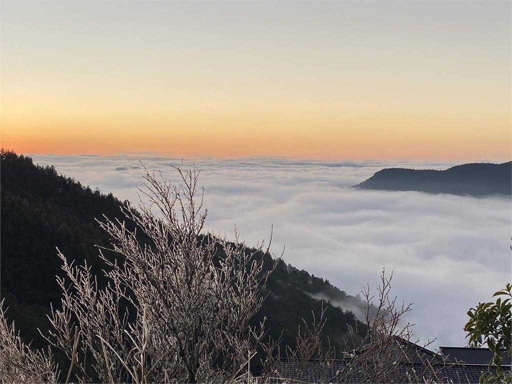 快新聞／太平山低溫達-1度！　日出雲海、霧淞再現絕美世界
