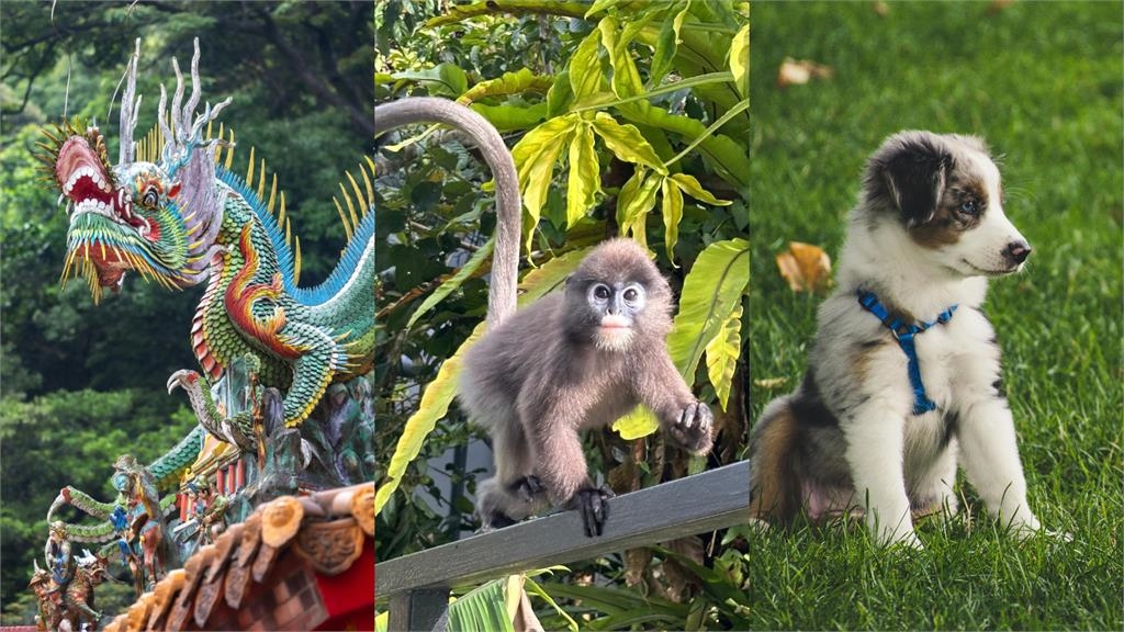 2025年3生肖「會爆富」財運爆棚！　這3類人注意「1關鍵」可保財