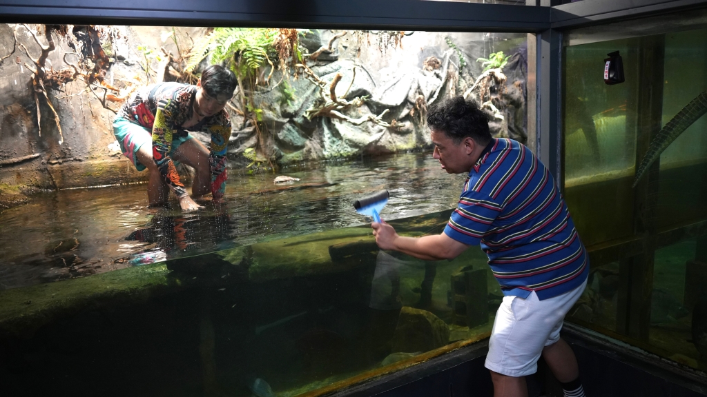 驚見鱷魚在身邊！阿龐見同伴遭困「忐忑不安」：真的很怕