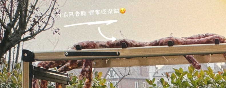 趙露思才剛「重新學走路」就復工!曬九宮格照「3點暗示」被迫向資本低頭