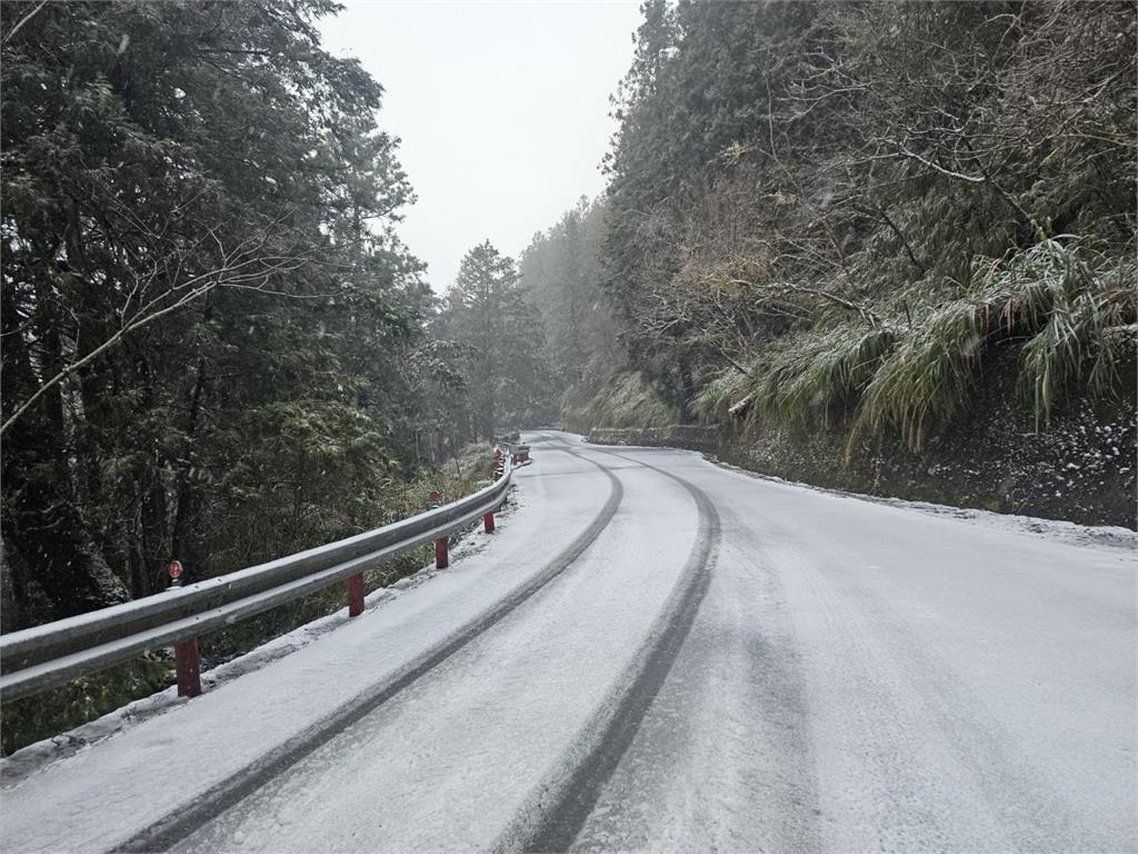 寒流發威!中海拔「明池、拉拉山」也降瑞雪 遊客驚喜