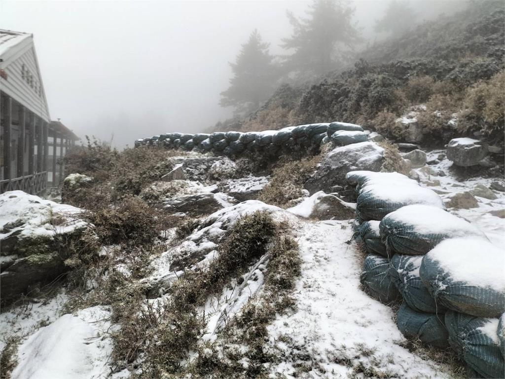 寒流發威!中海拔「明池、拉拉山」也降瑞雪 遊客驚喜