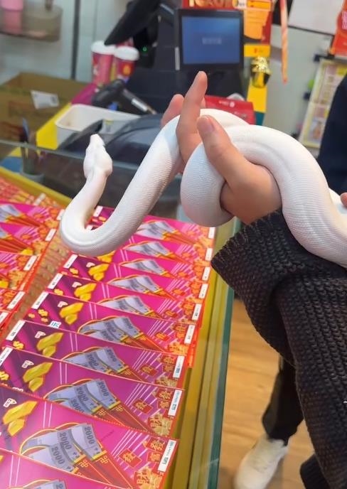 蛇年刮刮樂該「怎麼選最有效」?他帶上「本人」親自挑真中獎金額曝光