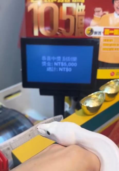 蛇年刮刮樂該「怎麼選最有效」?他帶上「本人」親自挑真中獎金額曝光