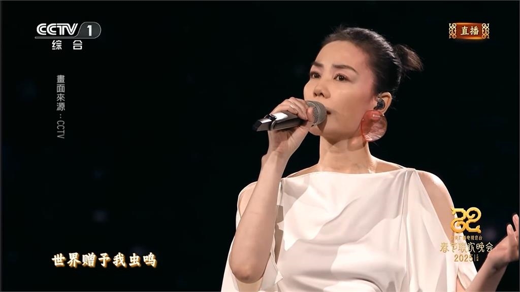 王菲登中國春晚救收視率 劉謙魔術表演被酸很敷衍