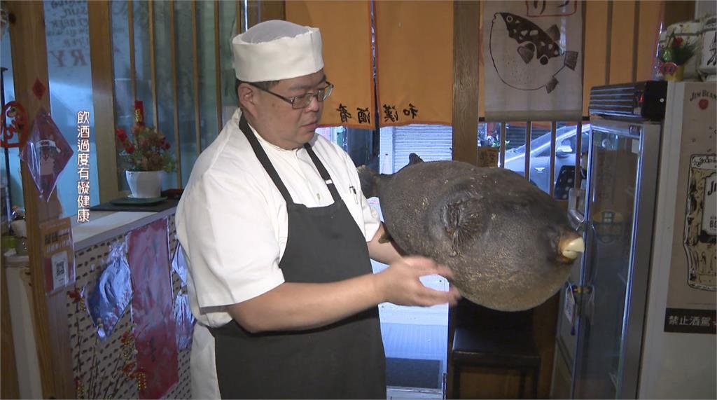 遠赴日本苦學三年　鮮甜河豚魚肉嫩、魚頭充滿膠質