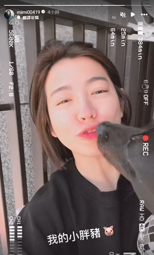 《好運來》米可白「一起床樂極生悲」!親曝需吃「1藥物」:只能躺平一整天