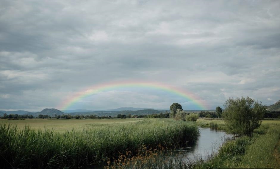 雨水至財運旺「虎兔龍」遇水則發?專家教開運 幸運竹放「這方位」
