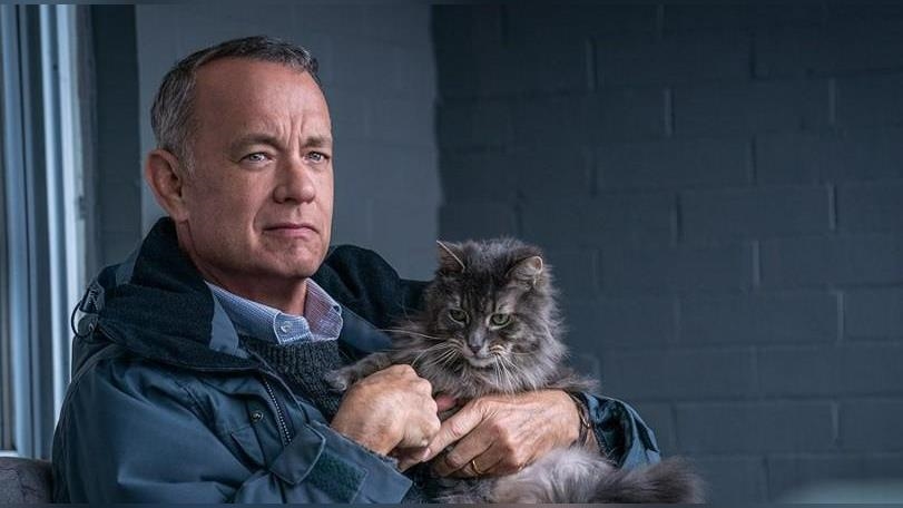 好萊塢明星的收藏癖！ 湯姆漢克斯瘋打字機、亞曼達塞佛瑞竟愛動物標本