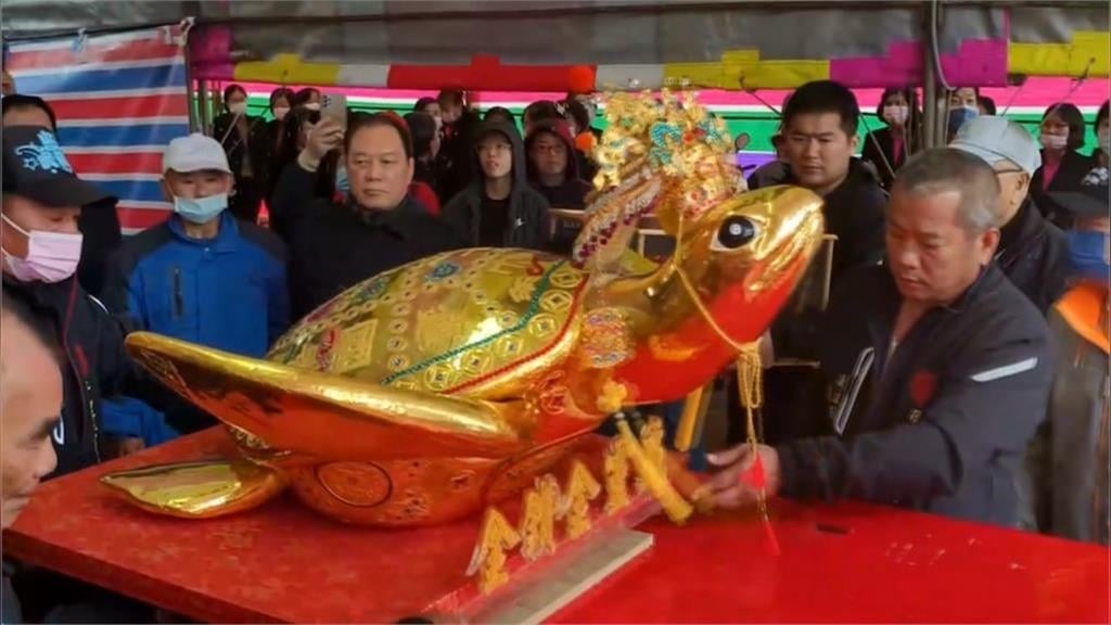 澎湖元宵乞龜！　「430兩巨大金靈龜王」亮相　市價近5千萬