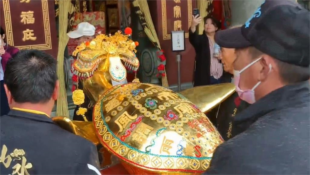 澎湖元宵乞龜! 「430兩巨大金靈龜王」亮相 市價近5千萬