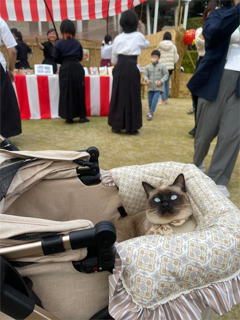 台南文化景點寵物友善 2/17-4/6帶著毛孩入園抽好禮