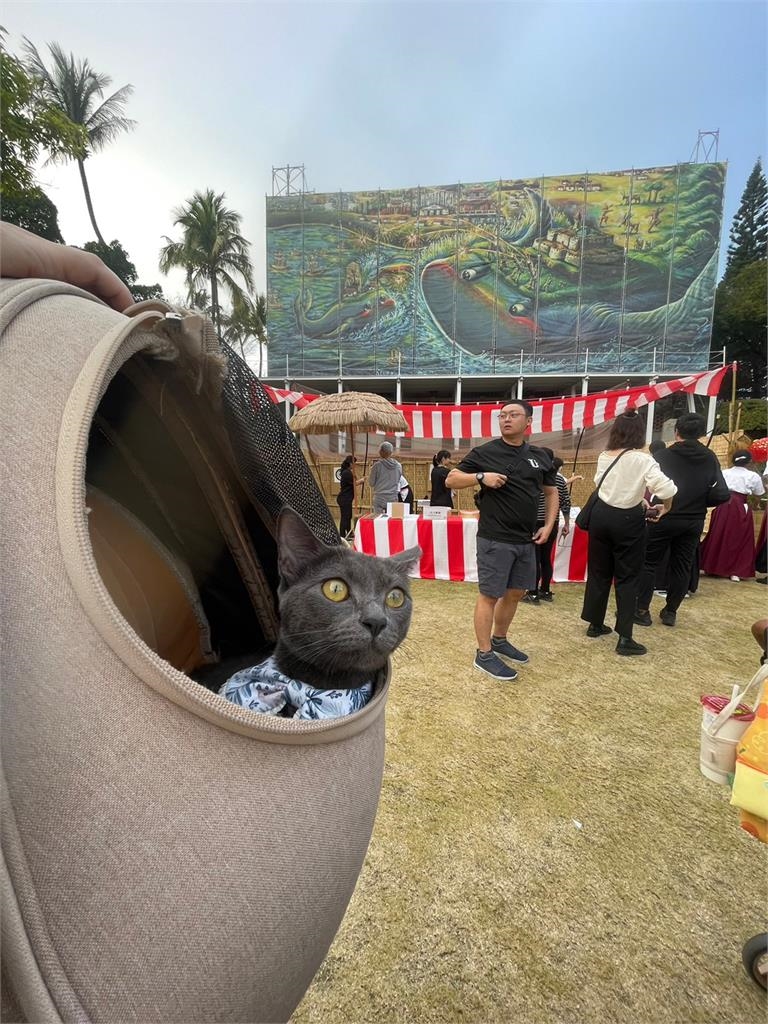 台南文化景點寵物友善 2/17-4/6帶著毛孩入園抽好禮