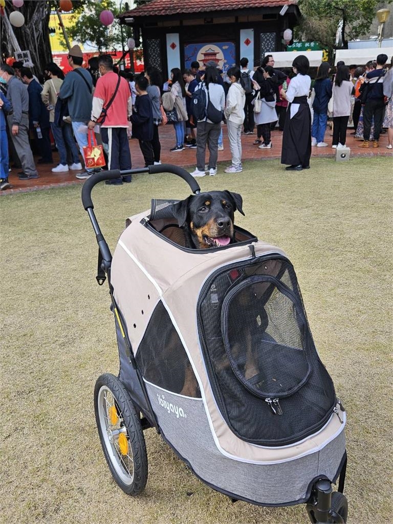 台南文化景點寵物友善 2/17-4/6帶著毛孩入園抽好禮