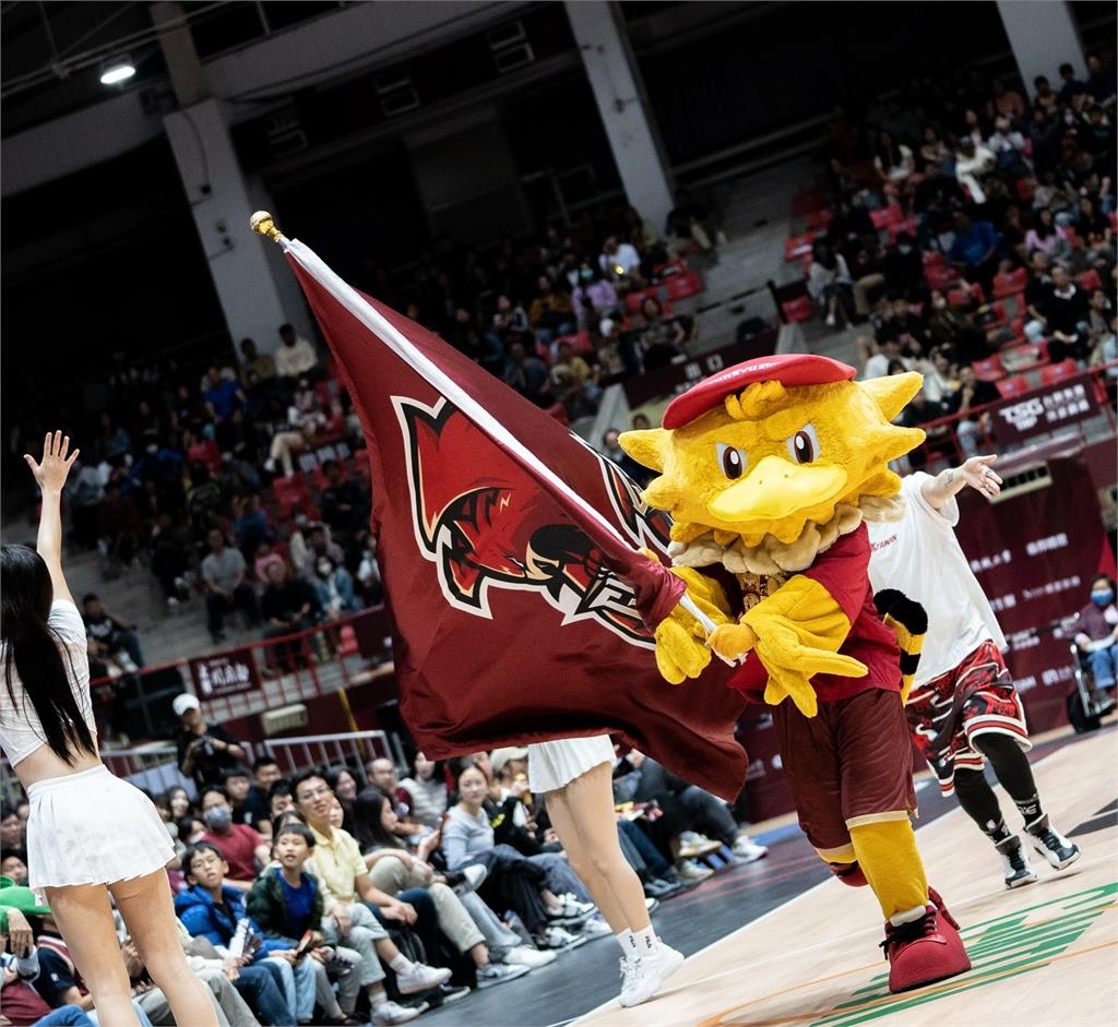 排球／我全都要！台鋼集團擴大運動版圖　成立「台鋼天鷹」進軍職排聯盟