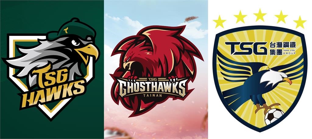 排球／我全都要！台鋼集團擴大運動版圖　成立「台鋼天鷹」進軍職排聯盟