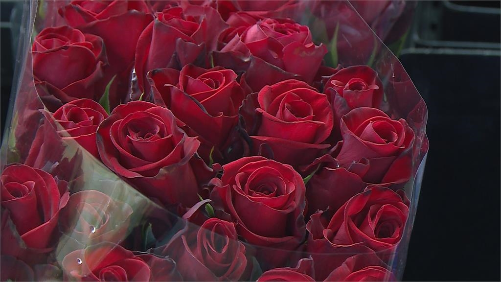 一把紅玫瑰1500元！　情人節玫瑰花量少價揚飆漲2～3成