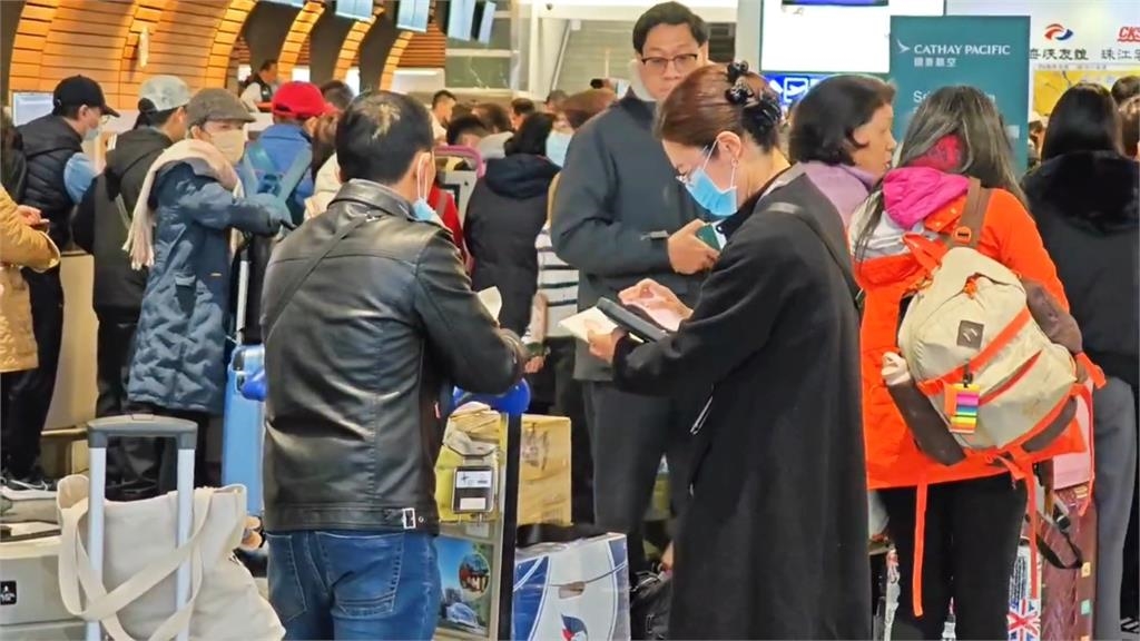 瘋出國！去年旅行社營收　較前一年成長3成