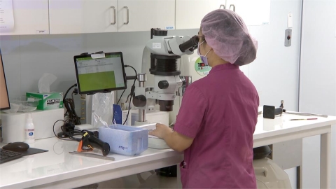 試管嬰兒補助超過「這金額」超給力!2.1萬對不孕夫妻圓夢育兒