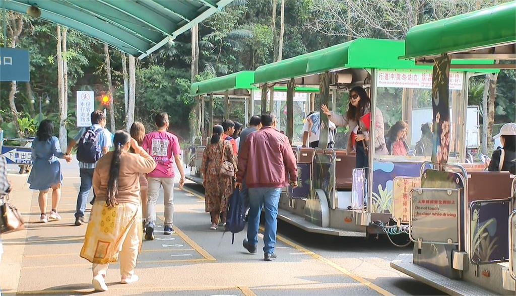 疫後首發！　800人印度旅遊大團來台　估帶動3千萬經濟效益