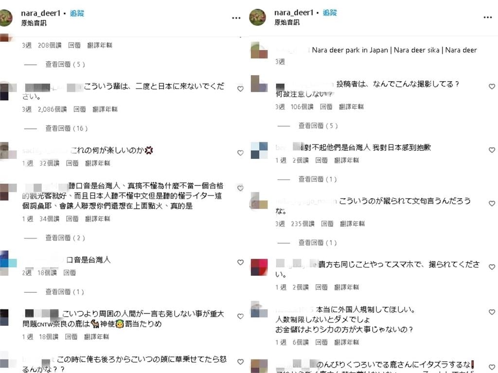 有影/台人「惡搞奈良鹿」!他嘻笑喊「拿賴打點火」…日網友開噴:沒家教