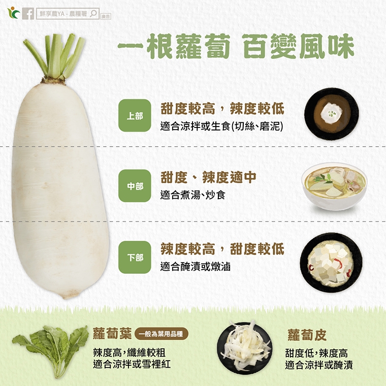 冬天來碗蘿蔔湯!料理要選對部位 湯品才能甘甜不苦澀